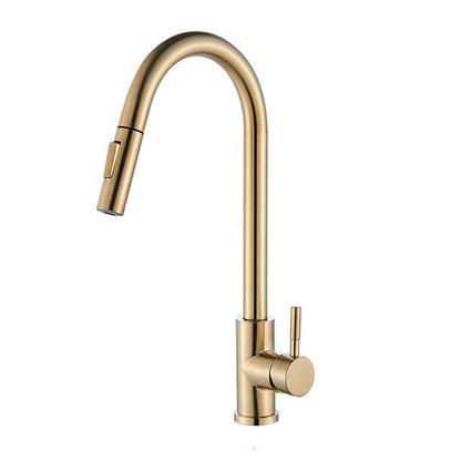 Single Handle High Arc Kitchen Faucet with Pull Down Sprayer