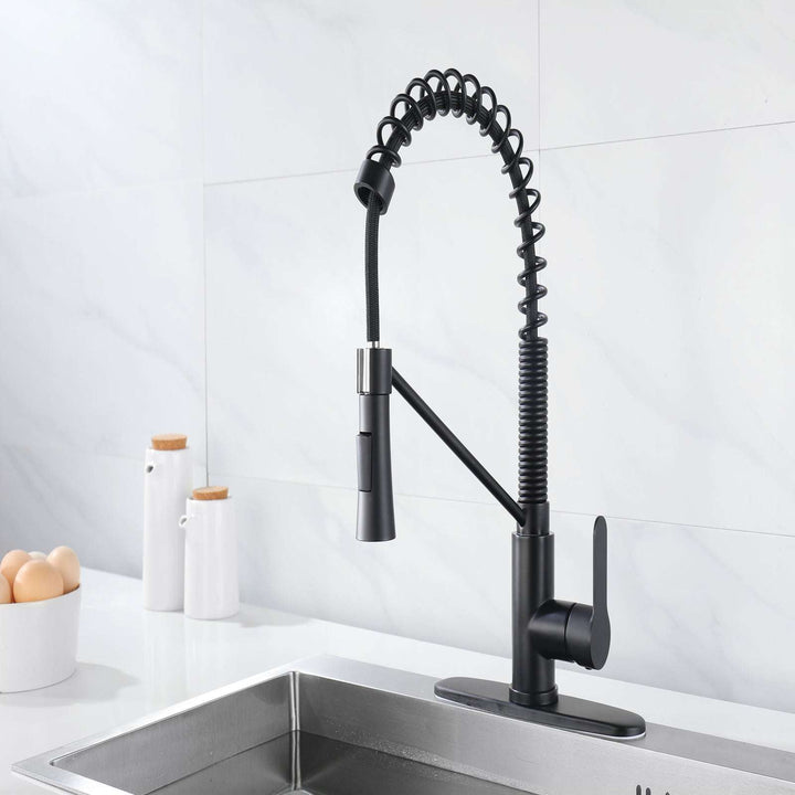 Single Handle Kitchen Sink Faucet with Pull Down Sprayer and Soap Dispenser (by quicklify)
