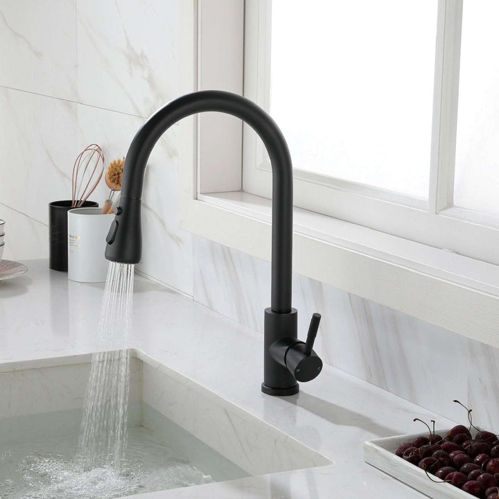 Kitchen Faucet with Pull Out Sprayer (by quicklify)